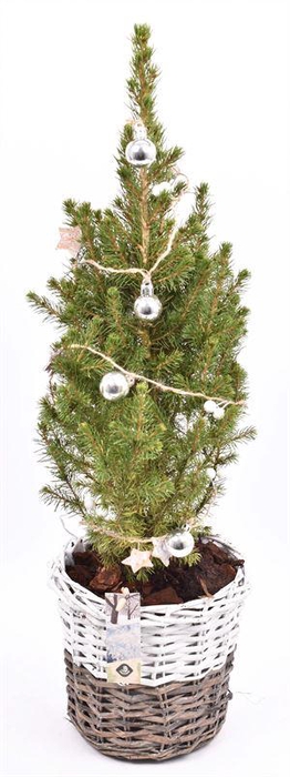 <h4>Wilg mand br/wit 20cm</h4>