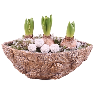 Christmas Arr. Hyacint Concrete Pine cone Pot Ø27cm 3PP