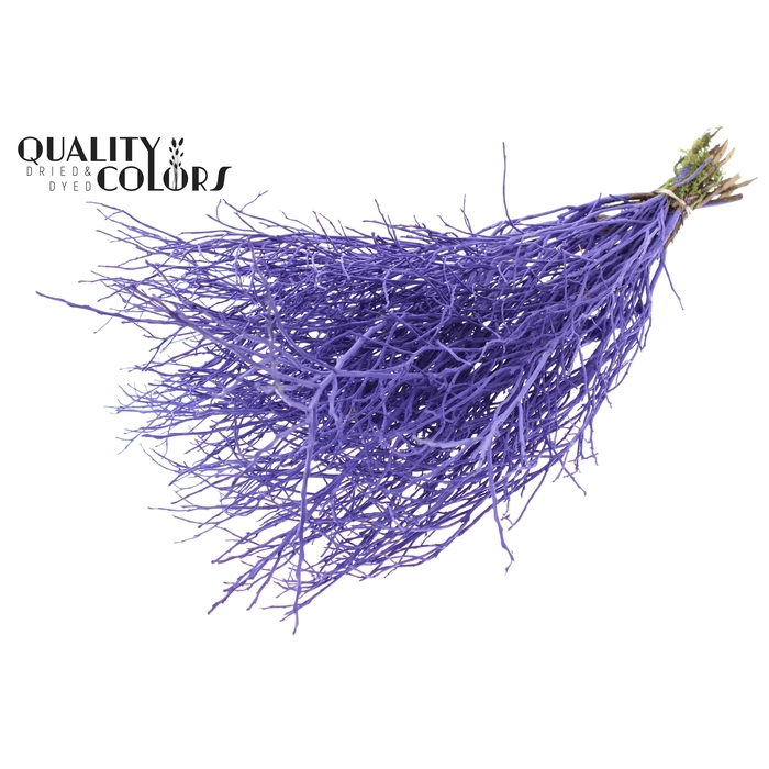 <h4>Huckelberry per bunch Purple</h4>