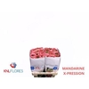 R Gr Mandarin X-pression Ec