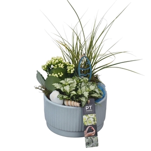 Arr.   Planten L%