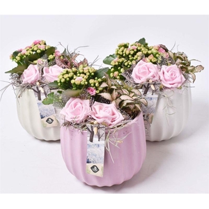 Keramiek pot kleur mix 14cm