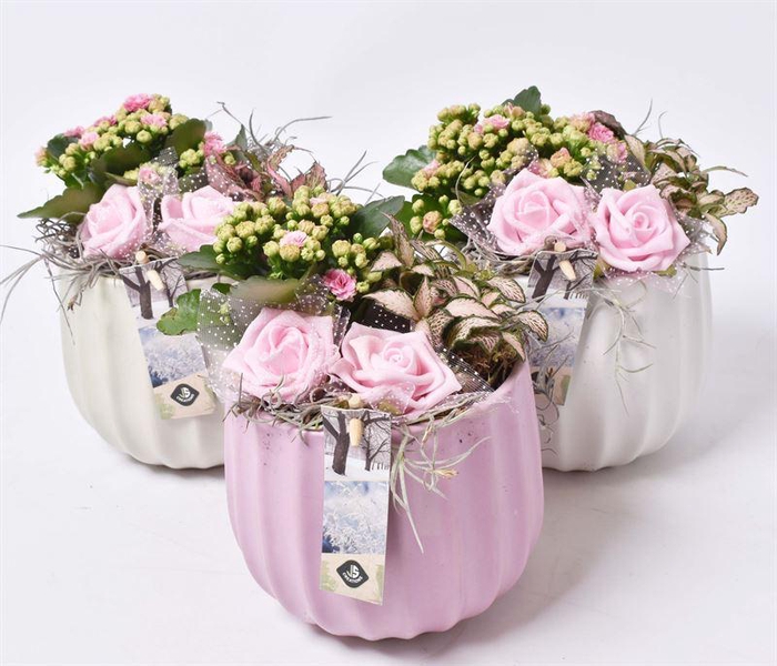 <h4>Keramiek pot kleur mix 14cm</h4>