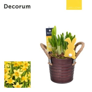 Narcis Copper Bucket HL15605 [YELLOW]