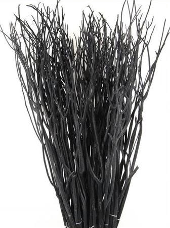 <h4>Mitsumata Col Zwart</h4>