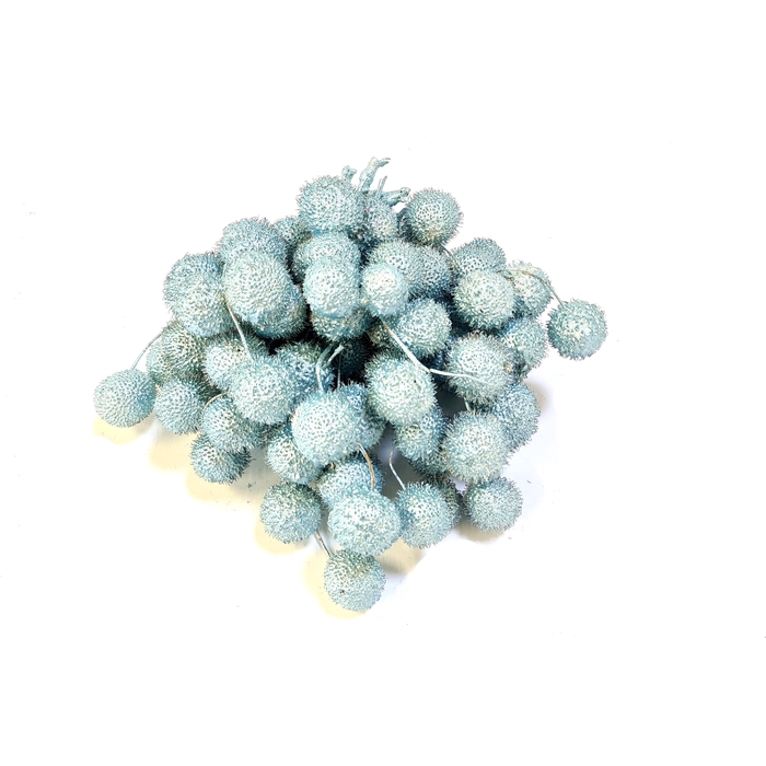 <h4>Small ball per bunch in poly Pearl Blue</h4>