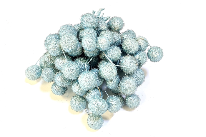 Small ball per bunch in poly Pearl Blue
