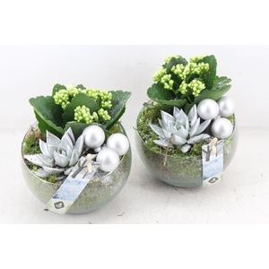 arr2 JS - Glas bol schuin zilver x6