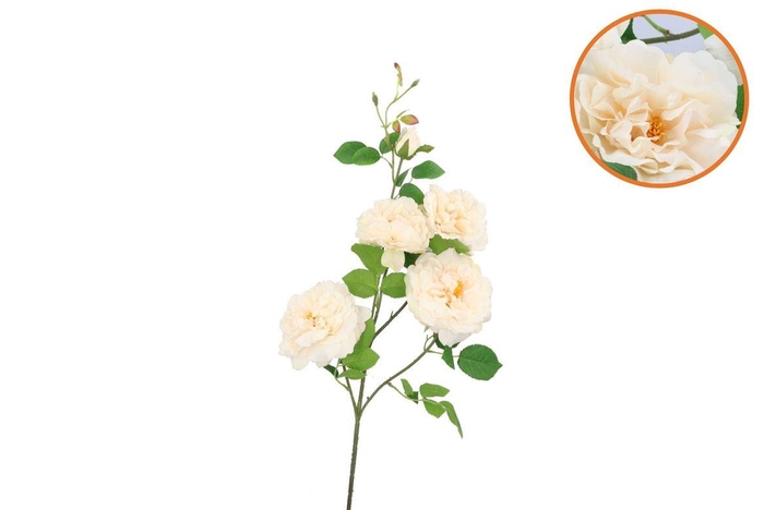 <h4>Silk Wild Rose Cream 5 Single Stem 116cm</h4>