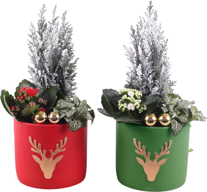 <h4>Opm Christmas Arr. Indoor Ceramic Reindeer Red & G</h4>