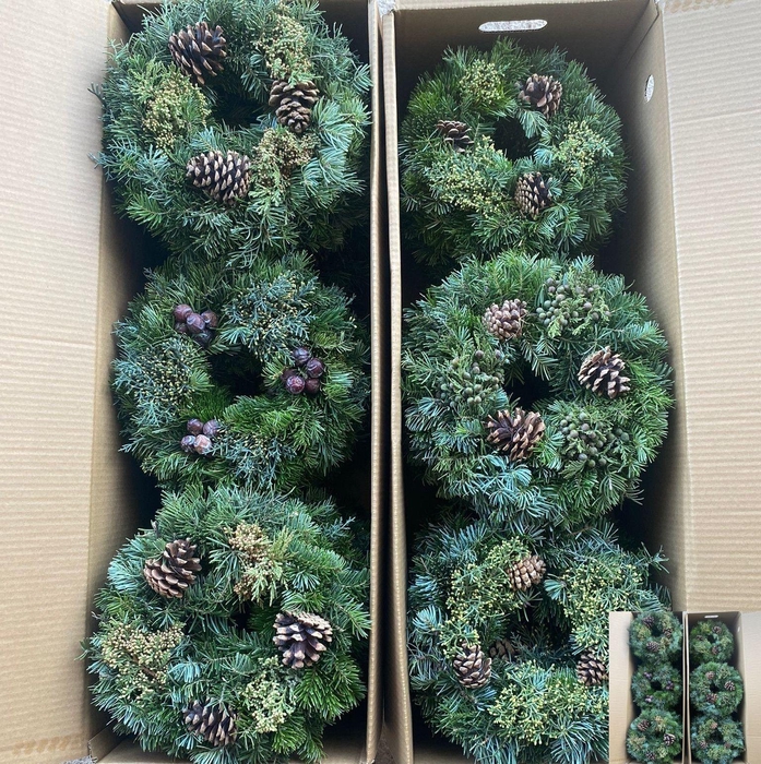 <h4>Sierfruit Krans H%</h4>