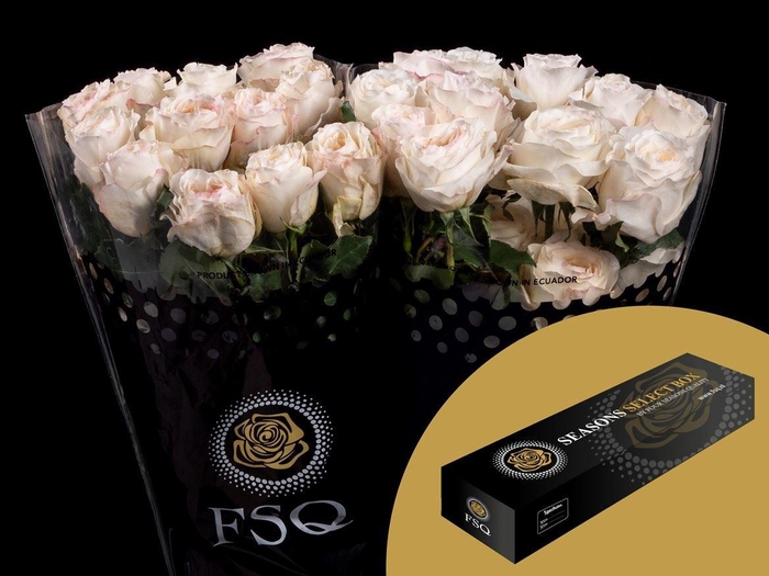 <h4>R GR Gar Vicky Gardens Box</h4>