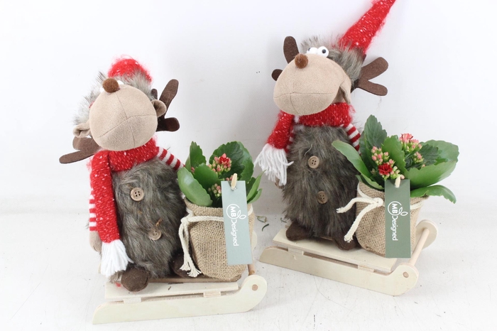 <h4>arr2 MB - Rendier op slee x8</h4>