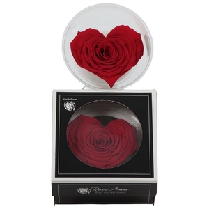 Rosa Preserved Heart Xxl Red 01