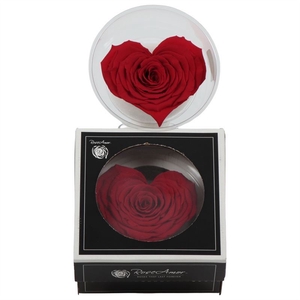Rosa Preserved Heart Xxl Red 02