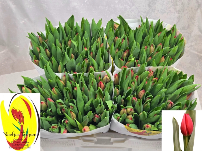 <h4>TU EN HOTSPOT</h4>