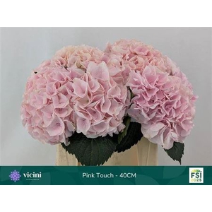 Hydr M My Beau Pink Touch