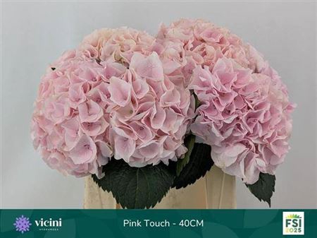 <h4>Hydr M My Beau Pink Touch</h4>