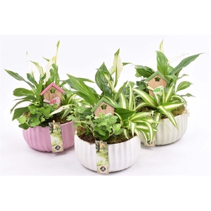 Keramiek schaal kleur mix 16,5cm