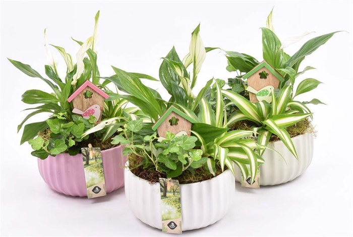 <h4>Keramiek schaal kleur mix 16,5cm</h4>