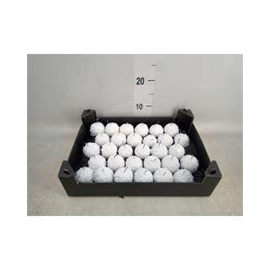 Decoratieve materialen   ...H%