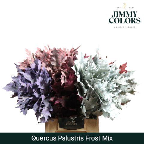 <h4>Quercus Palustris L50 Klbh. Frosted mix</h4>
