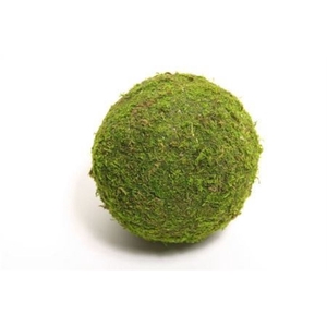 Deco Ball Asia Moss D20 X12