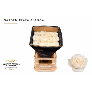 Rosa Garden Playa Blanca