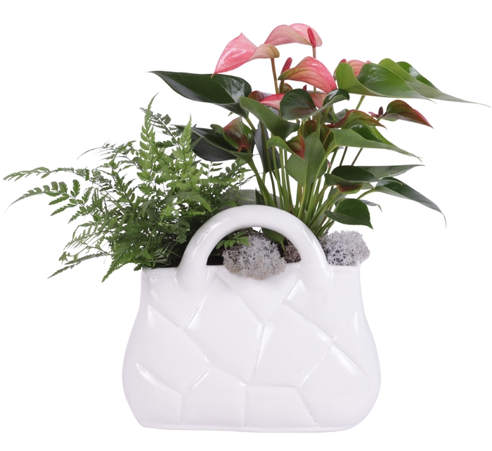 <h4>Yearround Arr. Indoor Ceramic Designer Handbag White Ø22cm 2PP</h4>