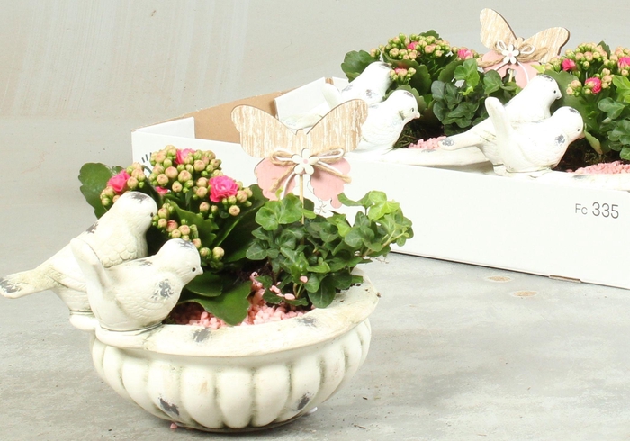 <h4>ARR KAMERPL</h4>