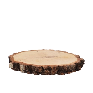 Nature Oak Slice Round D23-26cm X 3cm