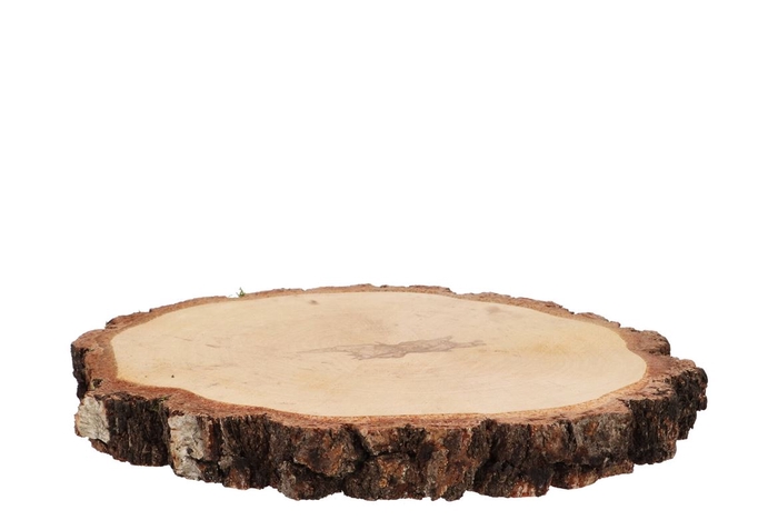 <h4>Nature Oak Slice Round D23-26cm X 3cm</h4>