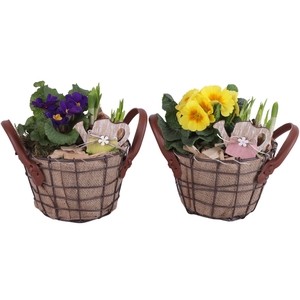 Early Spring Arr. Outdoor Metal Wire Basket Jute Ø17cm 2PP