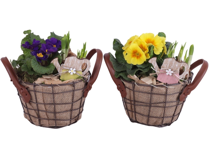 <h4>Early Spring Arr. Outdoor Metal Wire Basket Jute Ø17cm 2PP</h4>