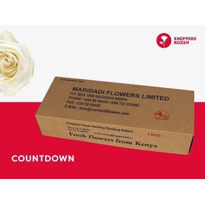 R GR COUNTDOWN! 70