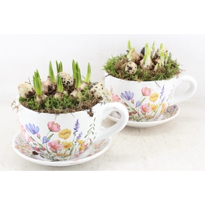 arr4 Bollenmix MB - Kop/schotel pink flower x2