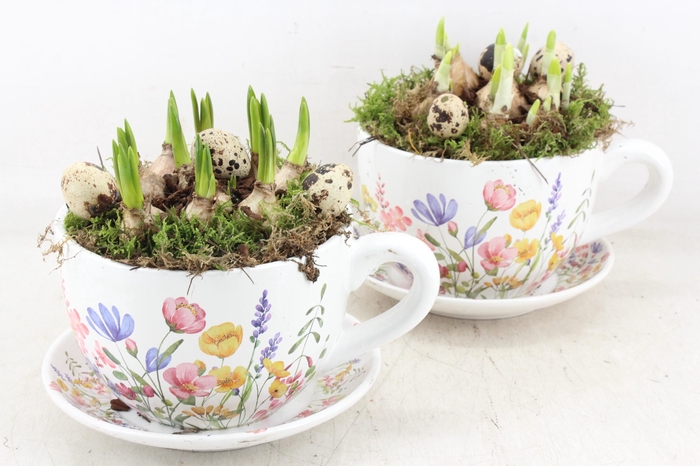 <h4>arr4 Bollenmix MB - Kop/schotel pink flower x2</h4>