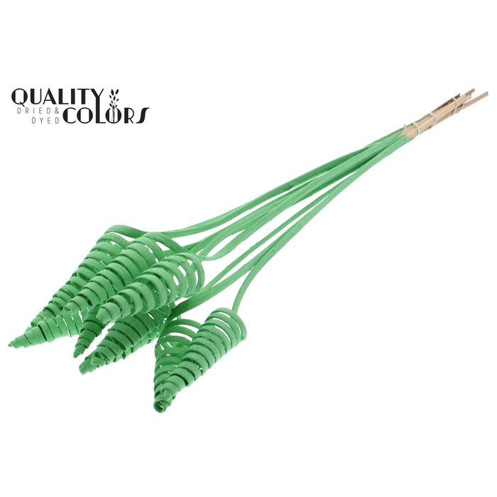 <h4>Cane Cone on stem Covered Mint Green</h4>