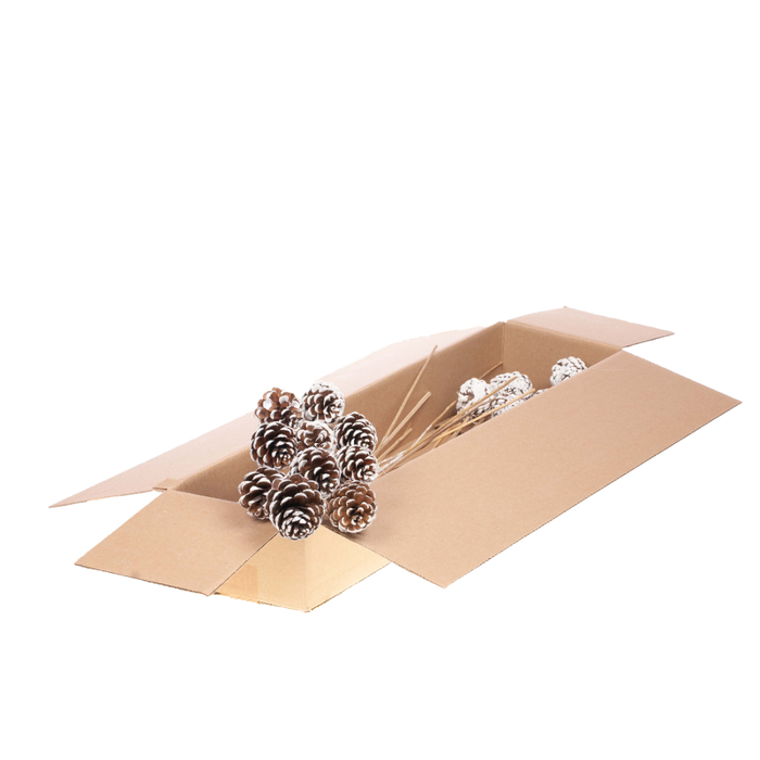 <h4>Pine C 5-7 O/s Sb Wh Tip</h4>