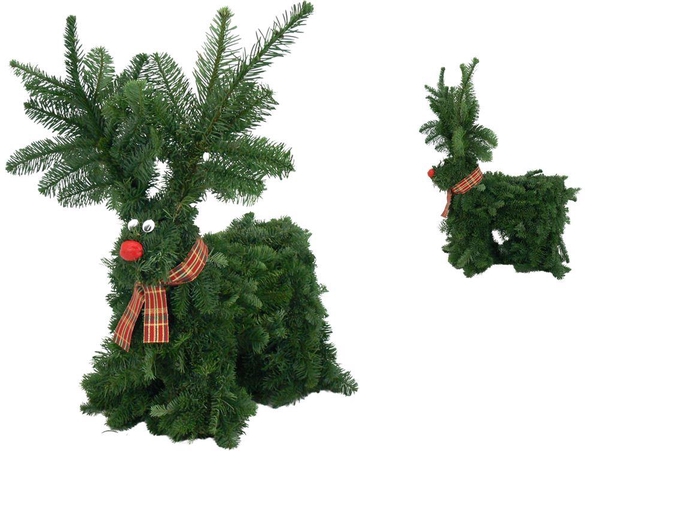 <h4>Nobilis Hert Big</h4>