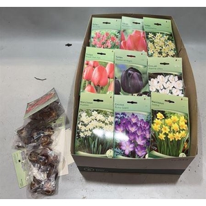 arr8 Bloembol Ov Mixbox