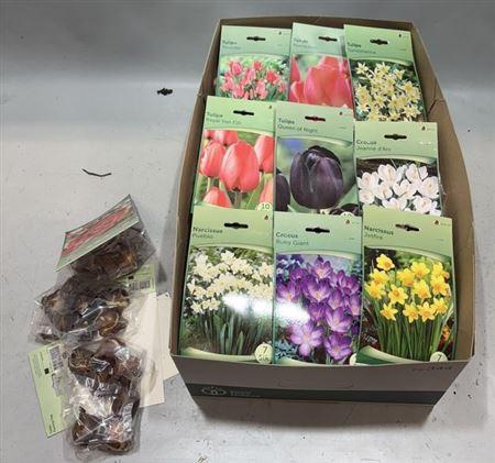 <h4>arr8 Bloembol Ov Mixbox</h4>