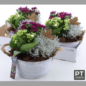 ARR TUINPLANTEN