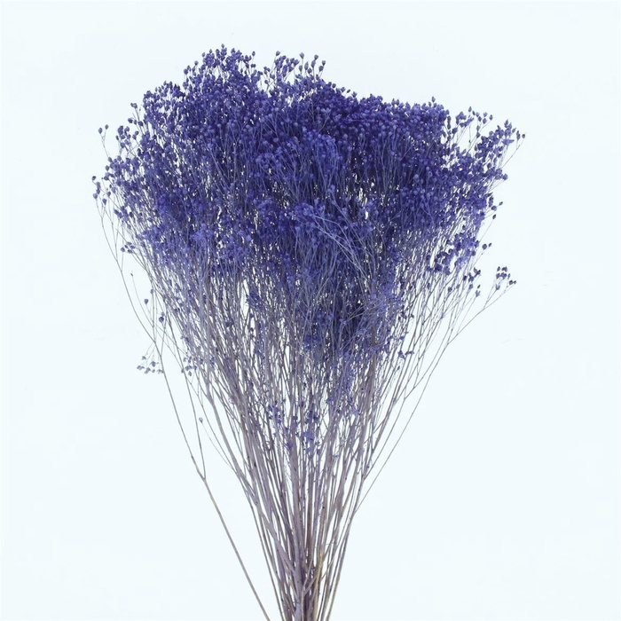 <h4>DROOGBL BEWERKT H%</h4>