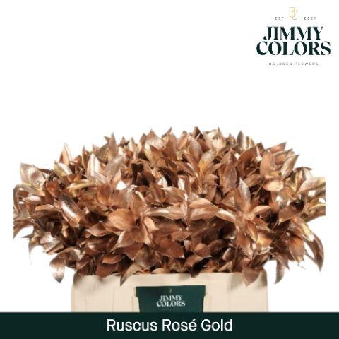 <h4>Ruscus L60 Mtlc. Rose Gold</h4>
