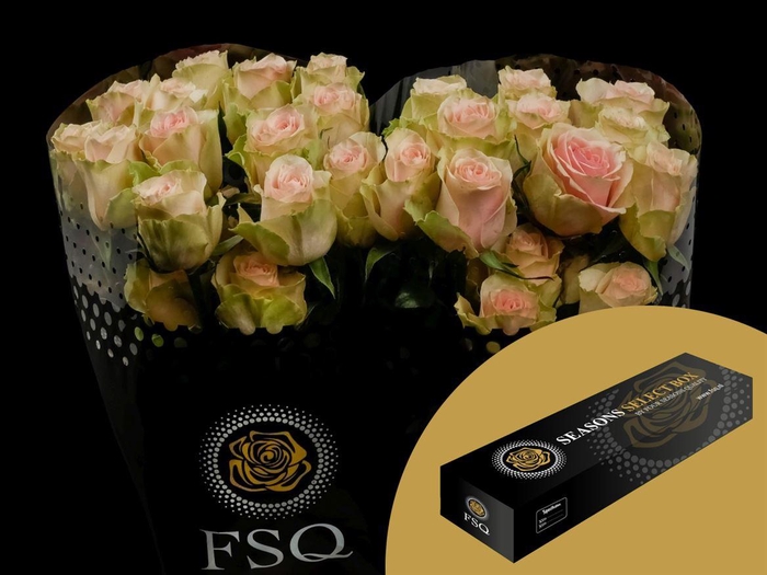 <h4>R GR Frutteto Box</h4>