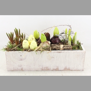 arr4 Bollenmix VL - White kist 285/3