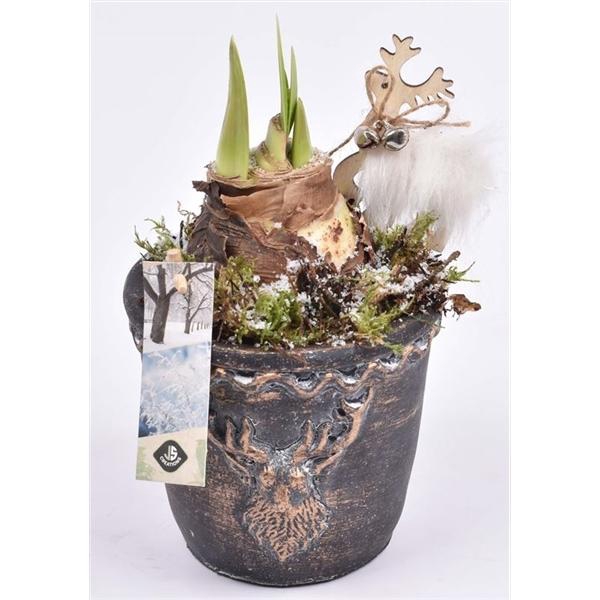 <h4>Cement rendier kop 13.5cm</h4>