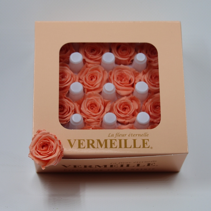 Rose Ava Pink Nectar