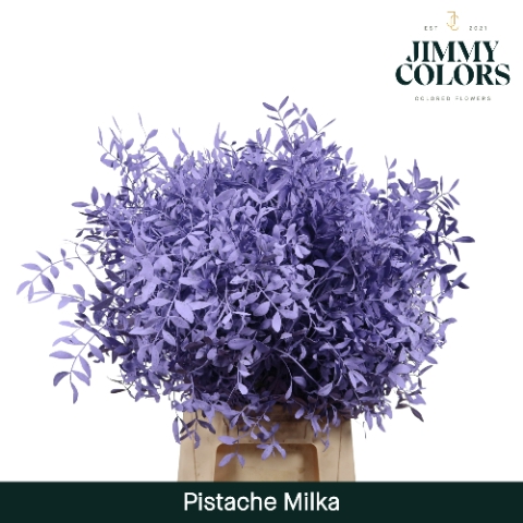 Pistache L50 Klbh. Milka